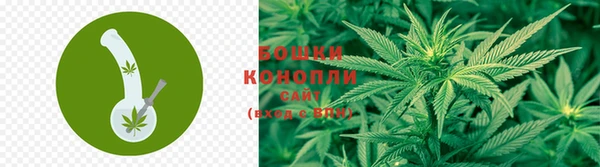 a pvp Иннополис