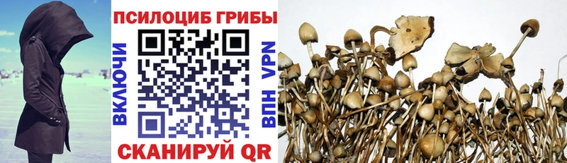 Псилоцибиновые грибы Psilocybe  Купить закладки  Усолье-Сибирское 